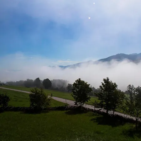 Haus Gerti Διαμέρισμα *